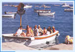 Shuttle to Hotel